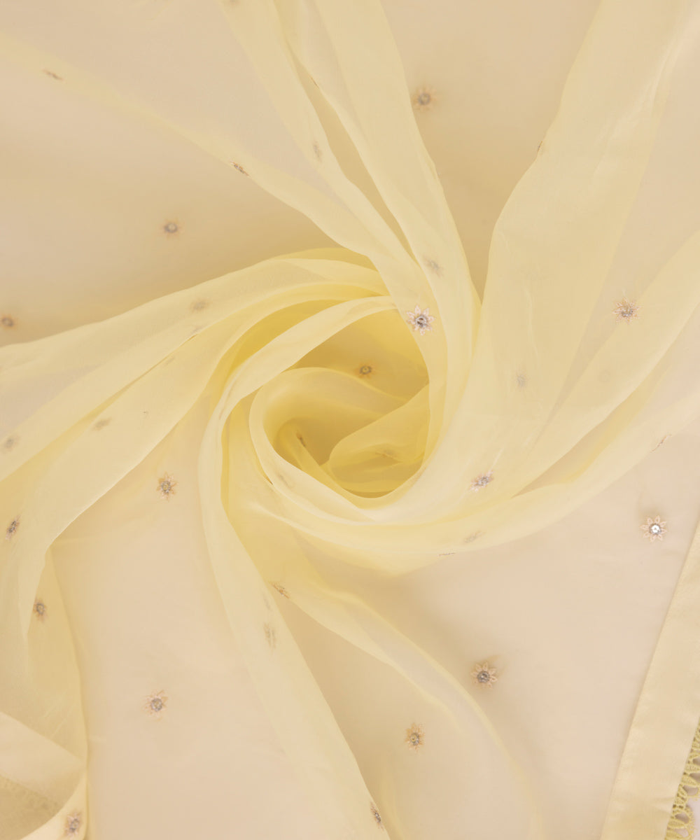Blended Organza Beige Embroidered Dupatta