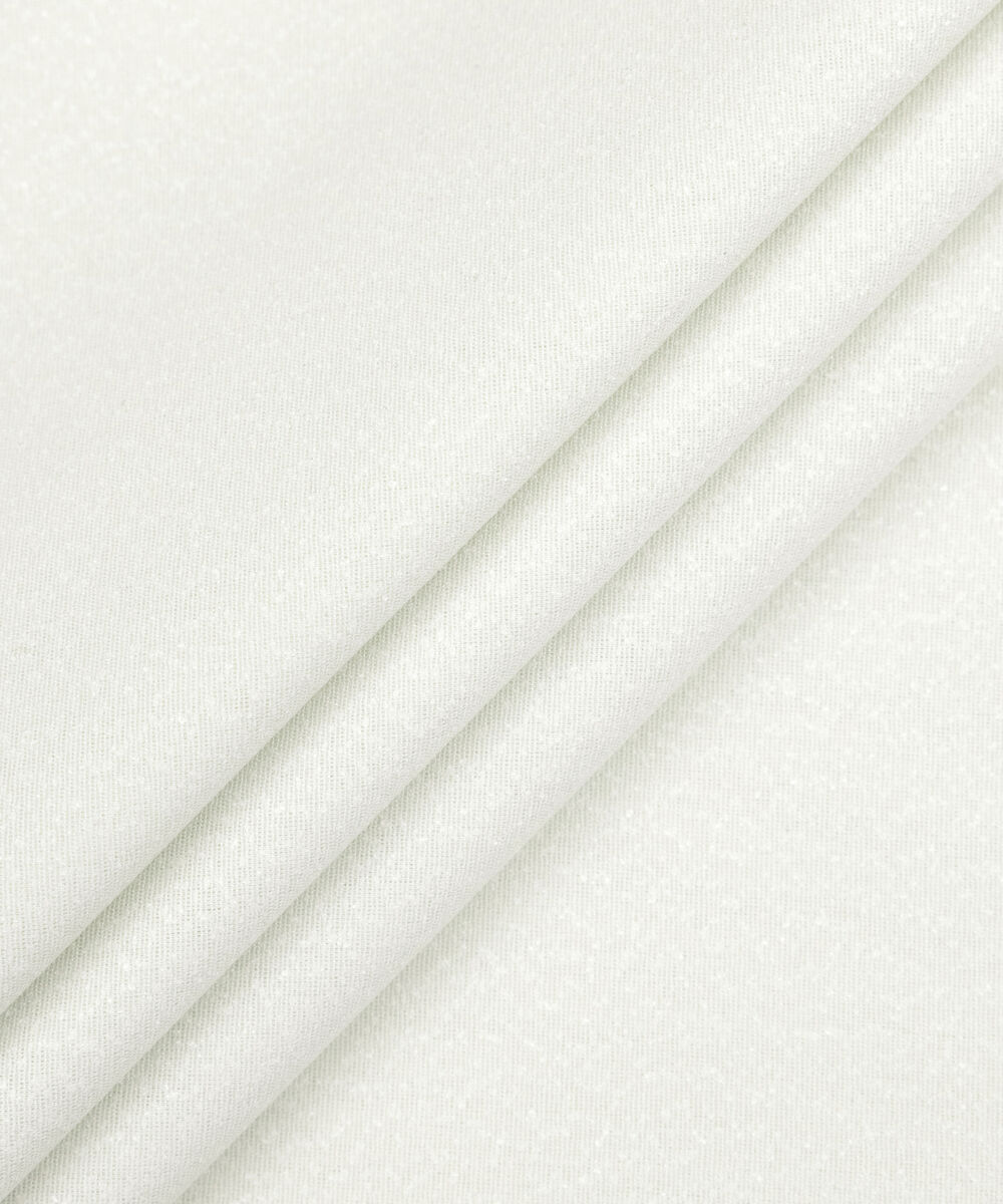 Men's Unstitched Two-Piece Light Mint Premium Ayudia Suit