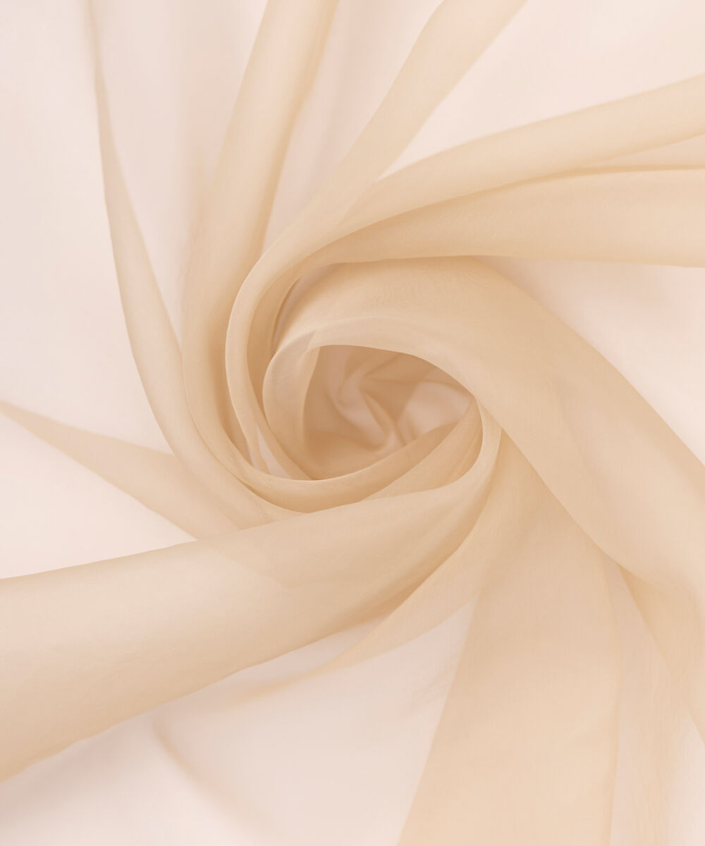 CDFW25V1171D Organza Dupatta CDFW25V1171D